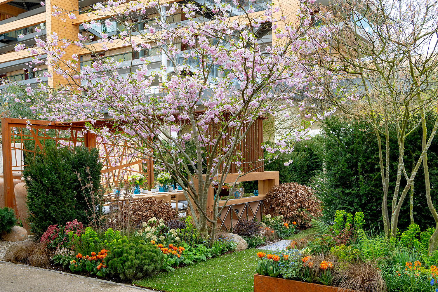 A small city garden divided into rooms