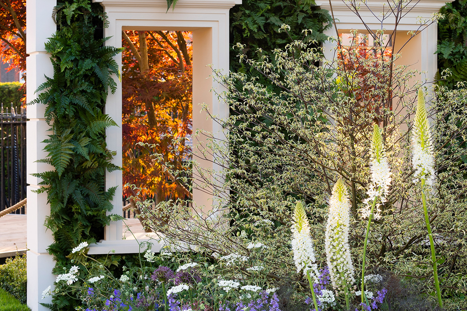 Kate Gould's West End Garden - RGHS Chelsea Flowers Show 2018