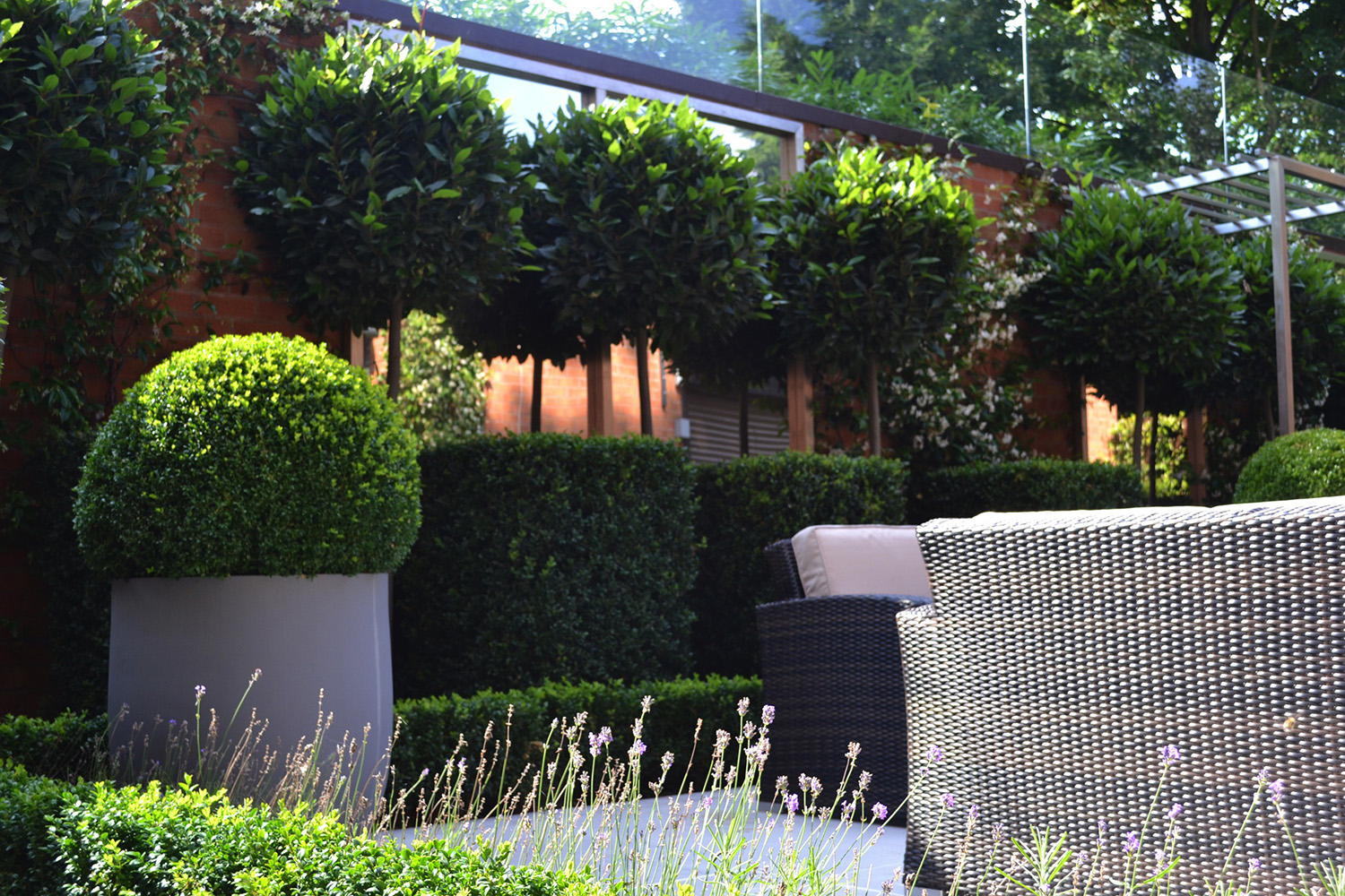 Kate Gould Gardens - Contemporary Courtyard Garden Hampstead