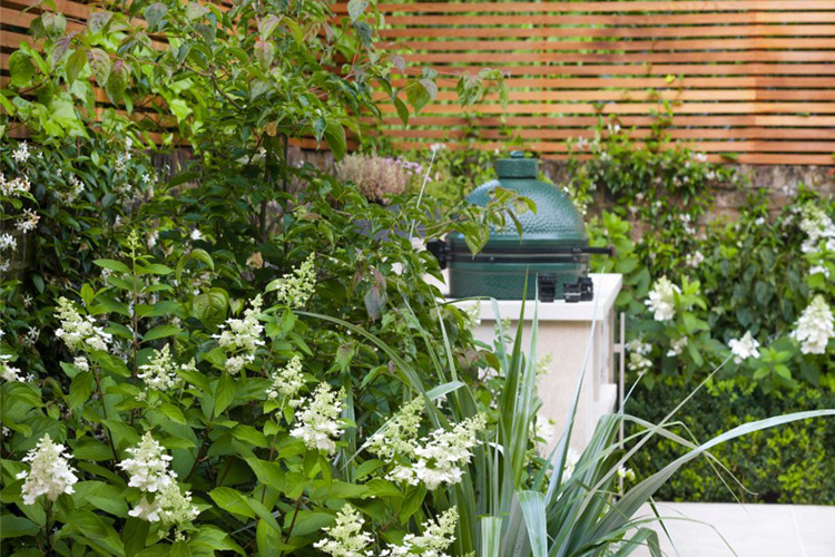 Kate Gould Gardens - Kensington Contemporary Garden