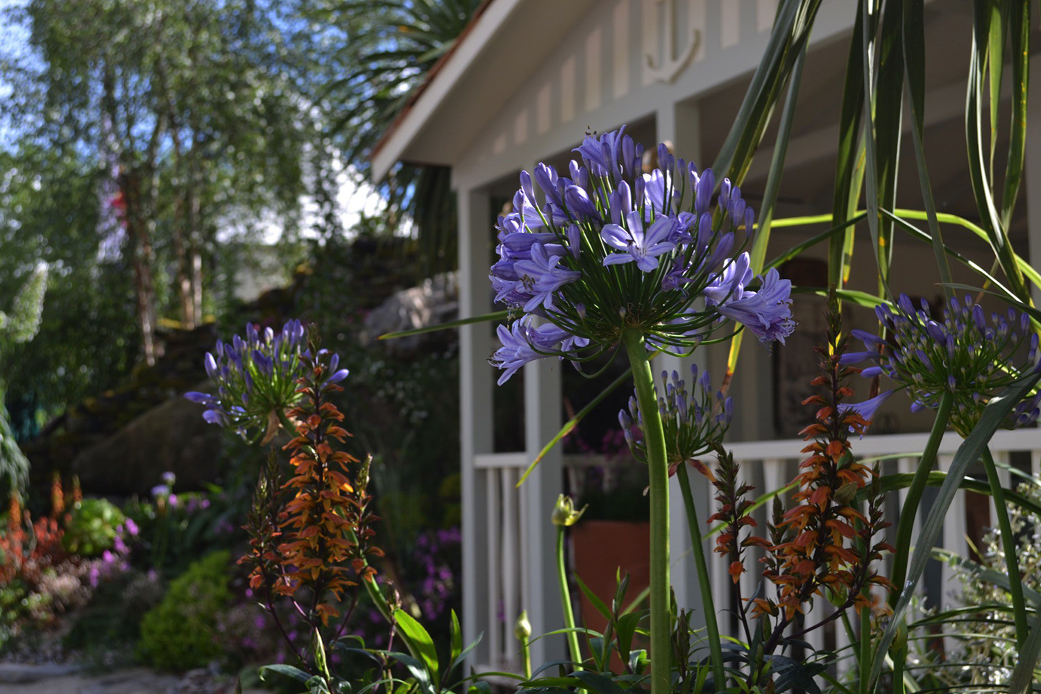 RHS Chelsea 2014 - Moors To The Sea