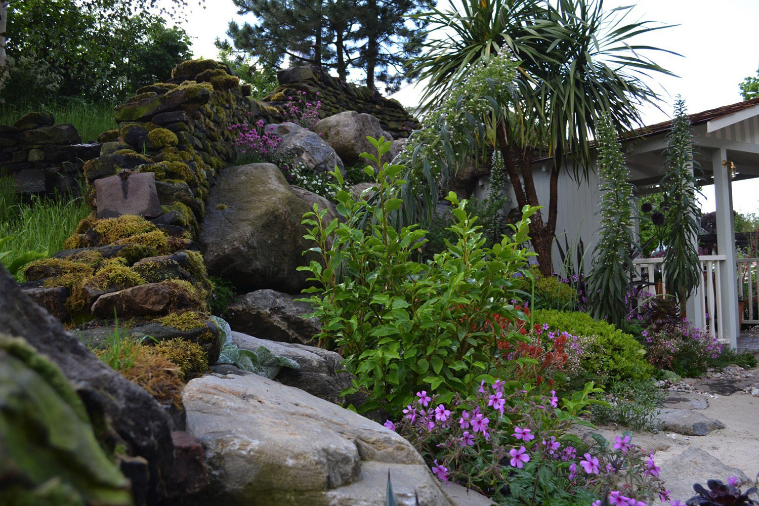 RHS Chelsea 2014 - Moors To The Sea