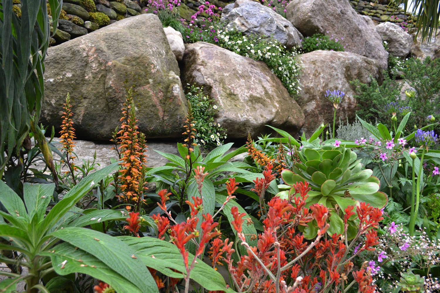 RHS Chelsea 2014 - Moors To The Sea