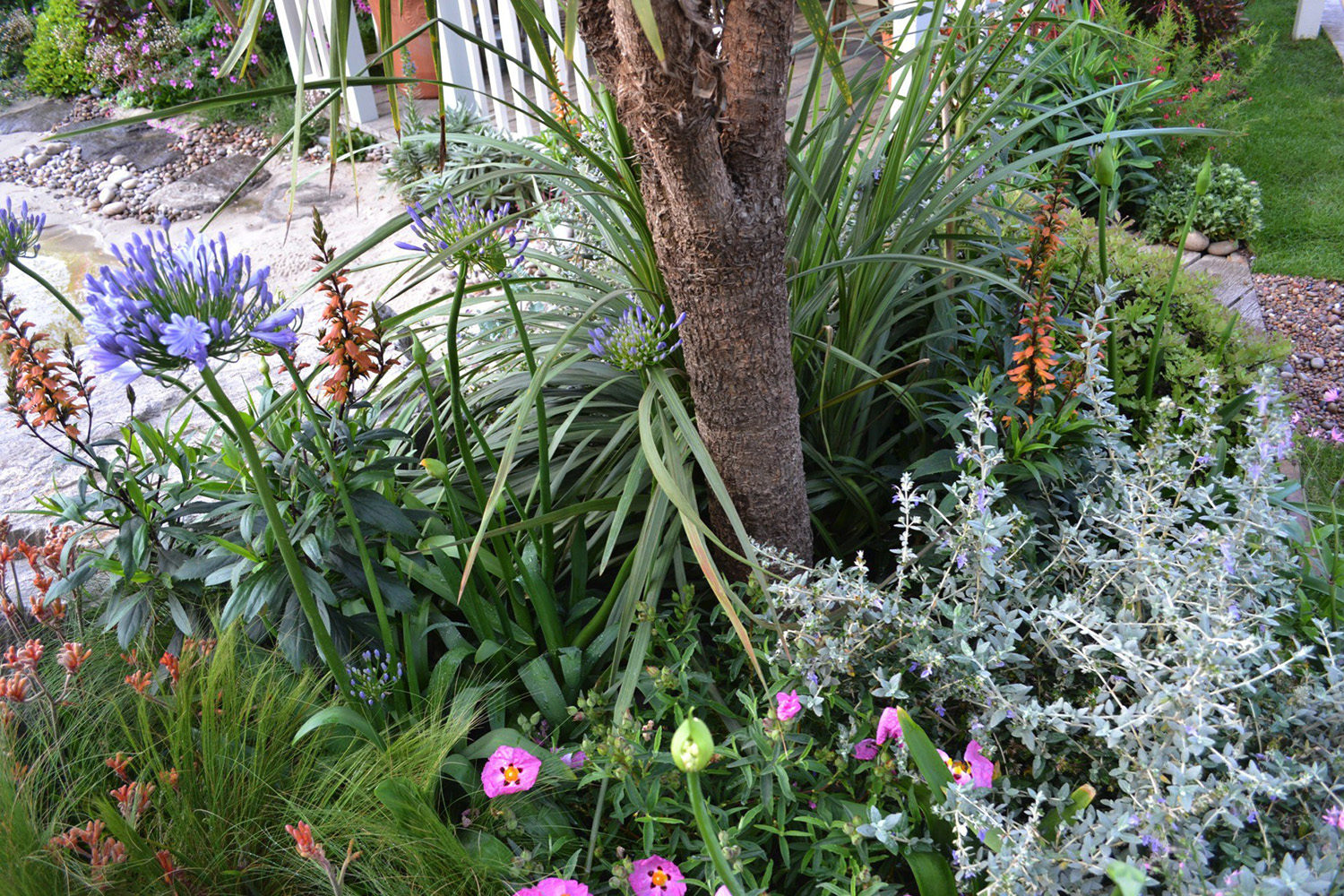RHS Chelsea 2014 - Moors To The Sea