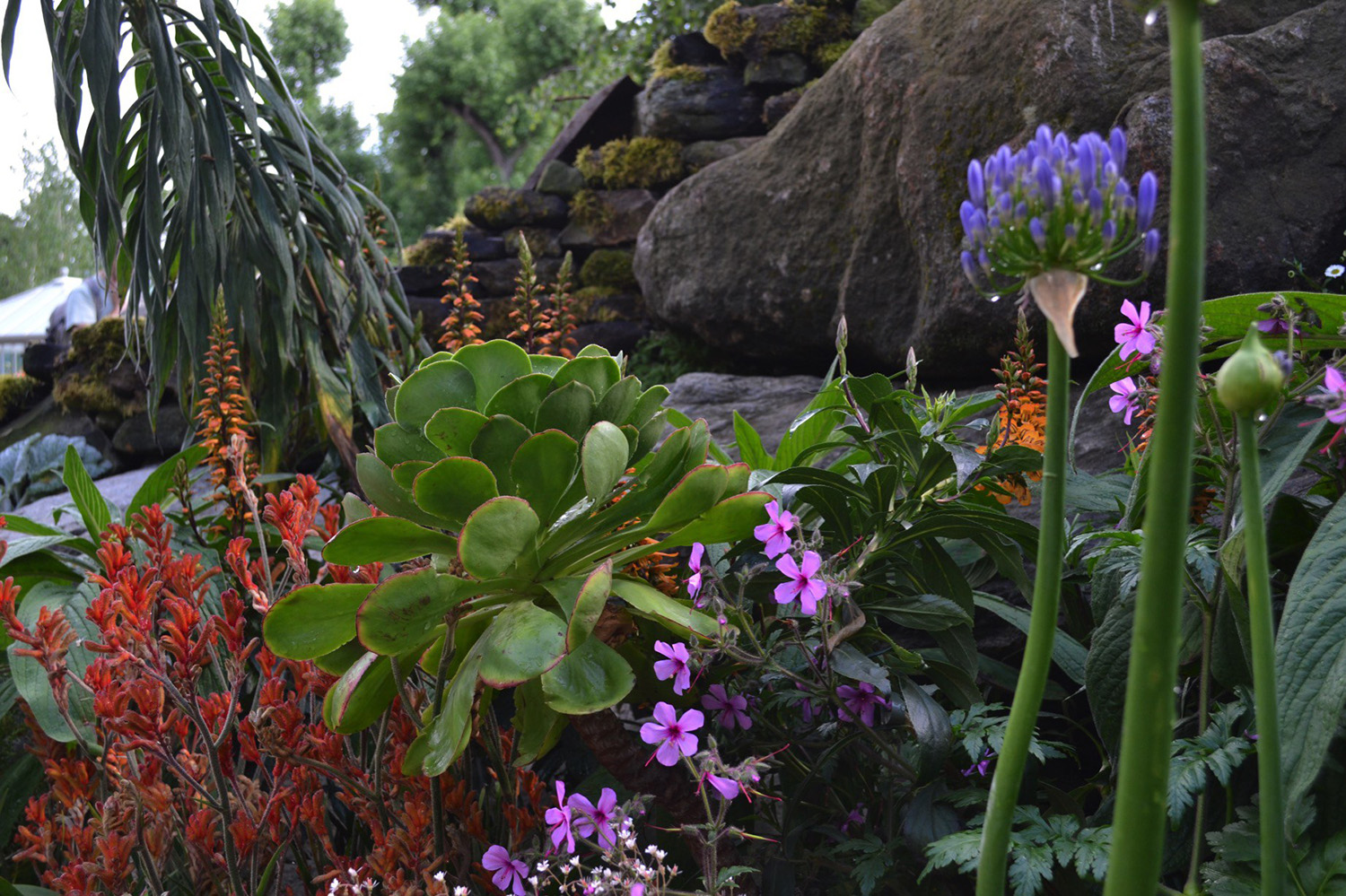 RHS Chelsea 2014 - Moors To The Sea