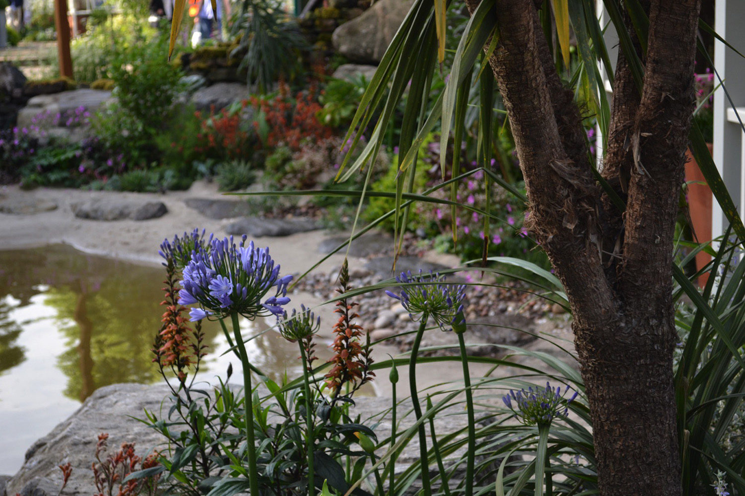 RHS Chelsea 2014 - Moors To The Sea