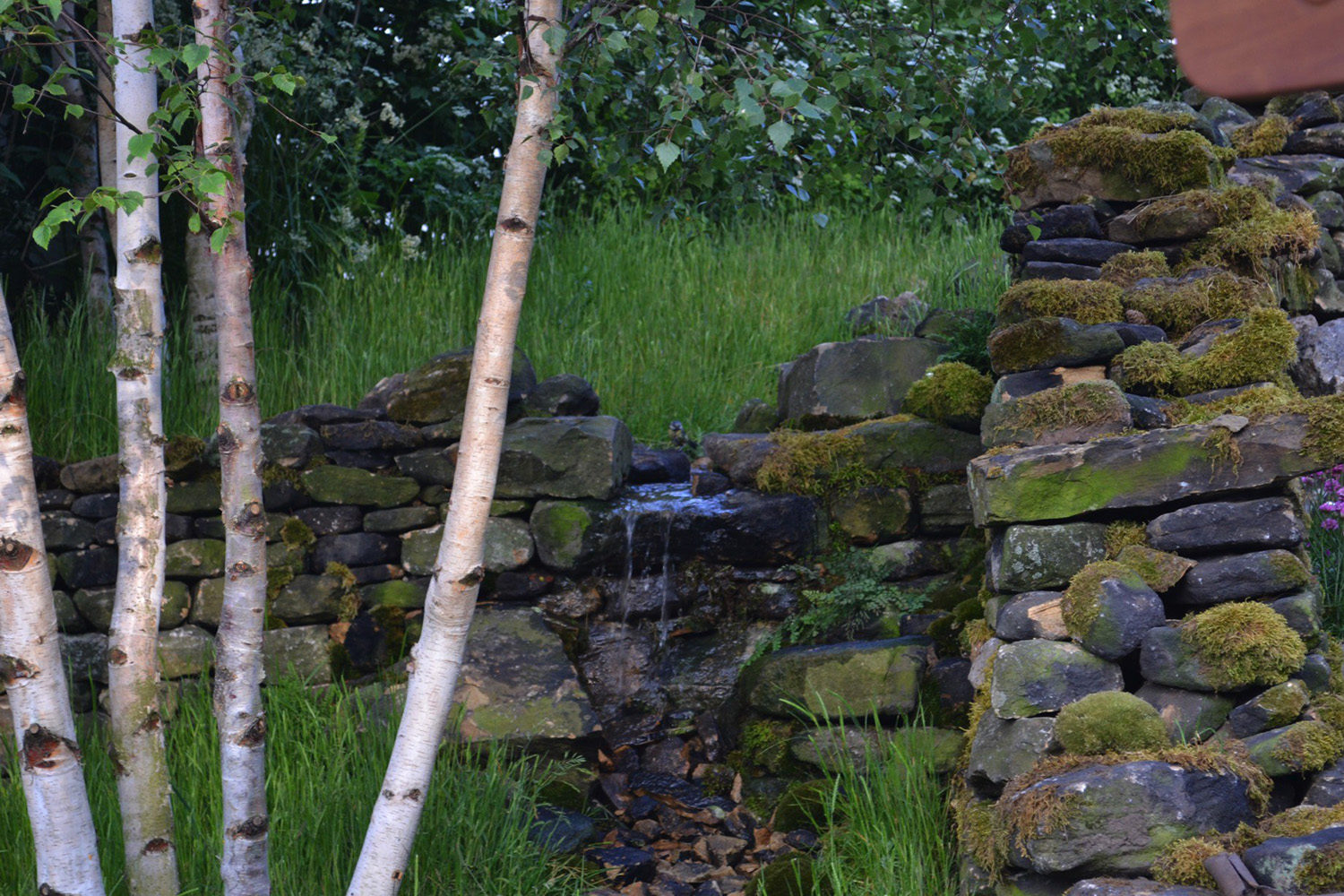 RHS Chelsea 2014 - Moors To The Sea