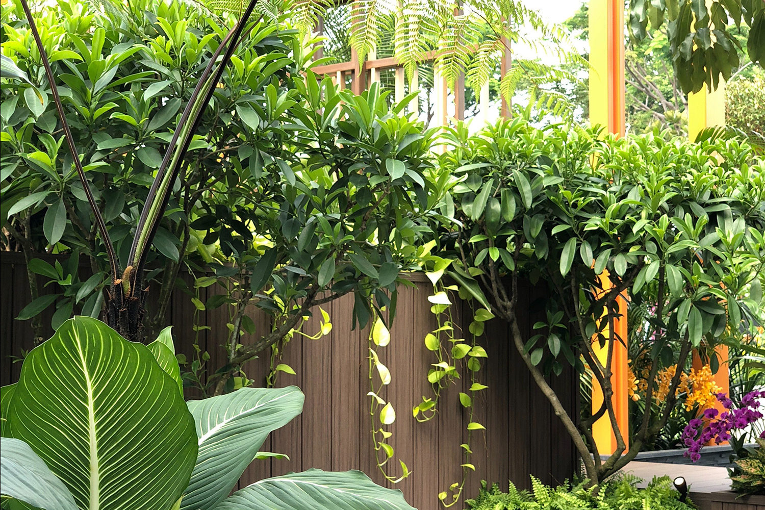 Singapore Garden Festival 2018