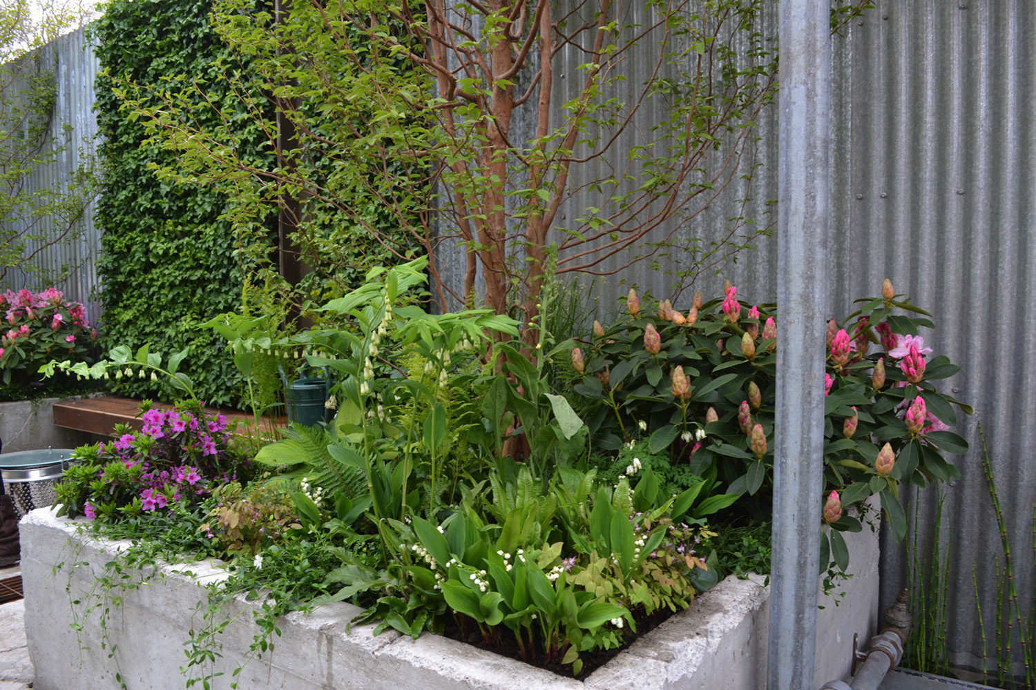 RHS Chelsea Flower Show 2013 - The Wasteland