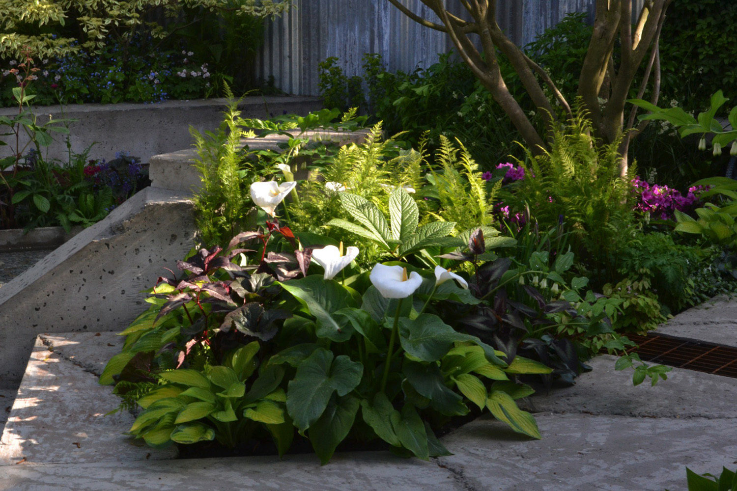 RHS Chelsea Flower Show 2013 - The Wasteland