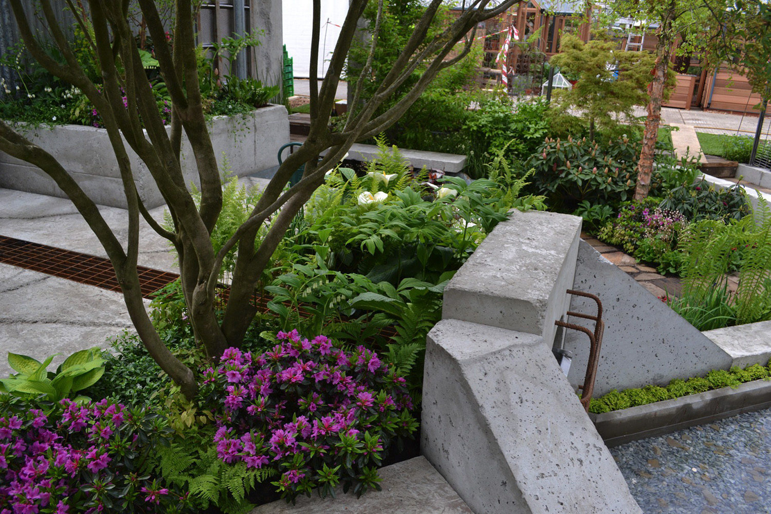 RHS Chelsea Flower Show 2013 - The Wasteland