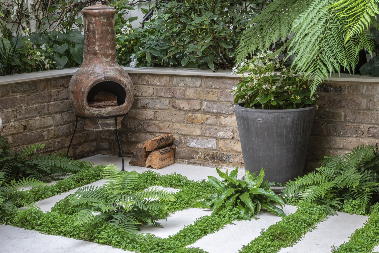 Porcelain tiles interspersed with ferns and Soleirolia soleirolii